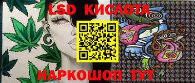spice Моздок
