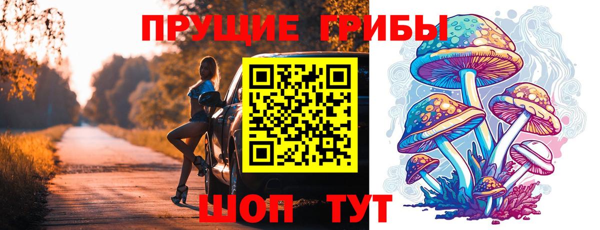 Псилоцибиновые грибы Psilocybe  Вход с VPN  Петровск 