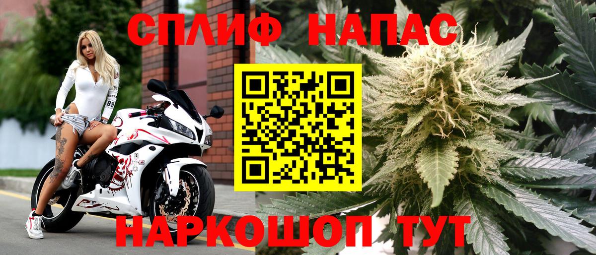 Конопля ГИДРОПОН Петровск